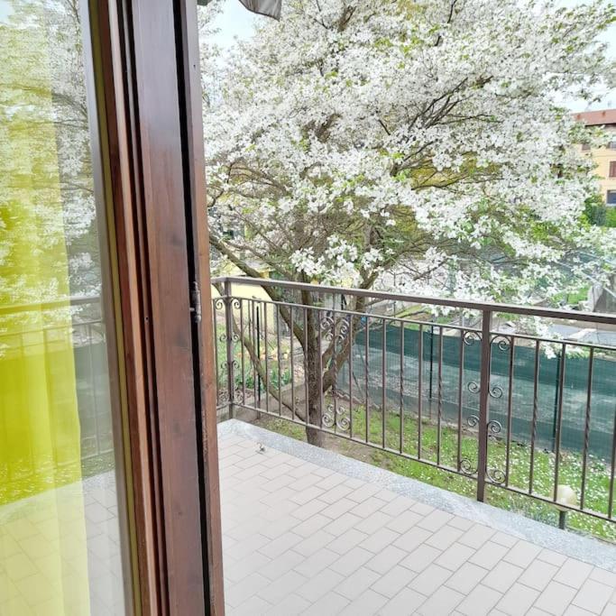 Il Vecchio Kiwi - House With Private Garden Villa Oleggio Castello Bagian luar foto