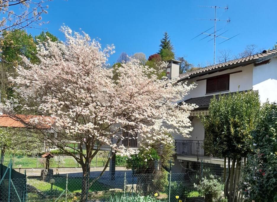Il Vecchio Kiwi - House With Private Garden Villa Oleggio Castello Bagian luar foto