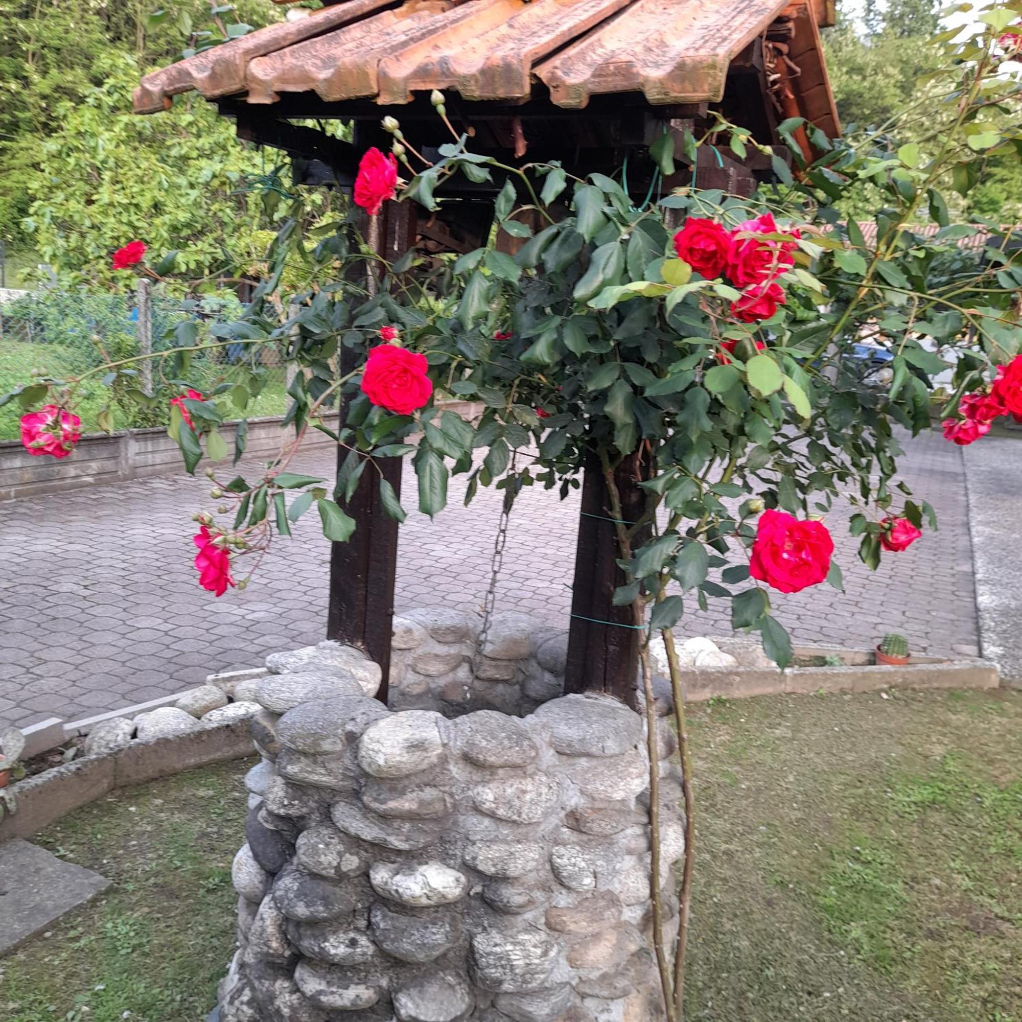 Il Vecchio Kiwi - House With Private Garden Villa Oleggio Castello Bagian luar foto